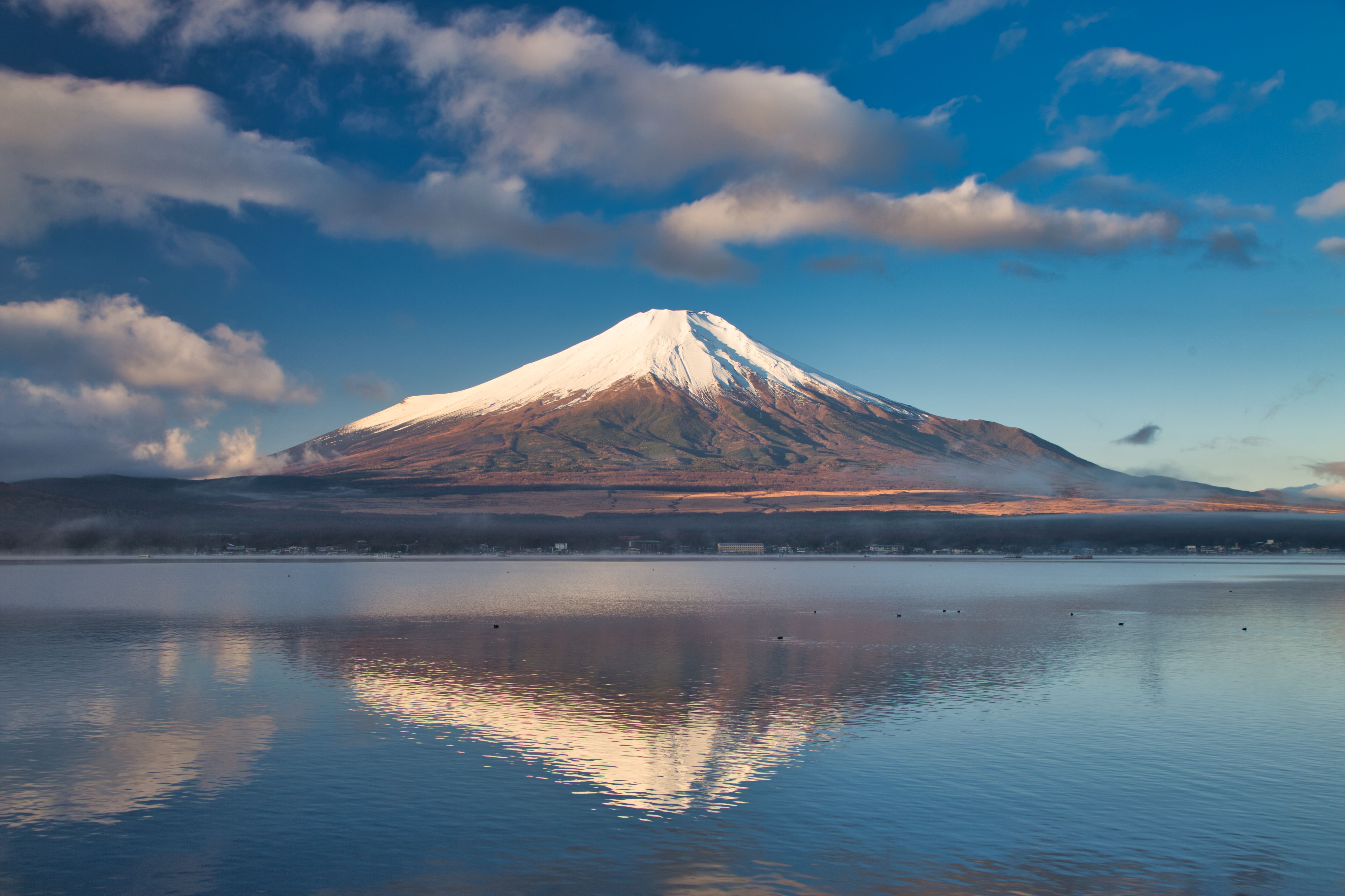 KnTan